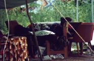 BRN 2001 – buntes4