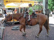 BRN 2005 – 21_02