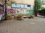 BRN 2017 – DSC01164