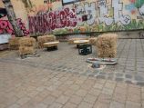BRN 2017 – DSC01167
